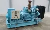 MAN B&W Generator Set   D2866TE